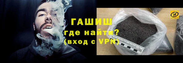 гашик Алексин