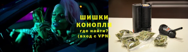 ГАЛЛЮЦИНОГЕННЫЕ ГРИБЫ Алексеевка