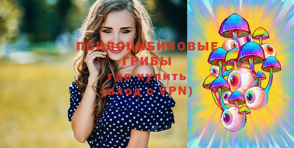 гашик Алексин