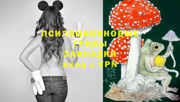 ГАЛЛЮЦИНОГЕННЫЕ ГРИБЫ Алзамай