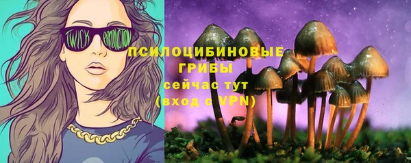 ГАЛЛЮЦИНОГЕННЫЕ ГРИБЫ Алексеевка