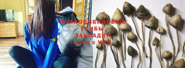 ГАЛЛЮЦИНОГЕННЫЕ ГРИБЫ Алзамай