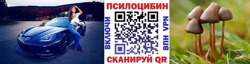 купить   Новошахтинск  Псилоцибиновые грибы GOLDEN TEACHER 