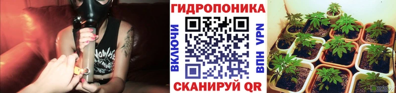 kraken ONION  Новошахтинск  Марихуана семена 